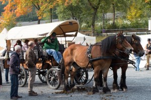 steampunkt_museum_eslohe2017 (67 von 105).jpg